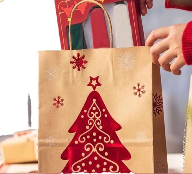 12 Christmas Gift Bags with Handles - Kraft Paper, 6 Festive Styles